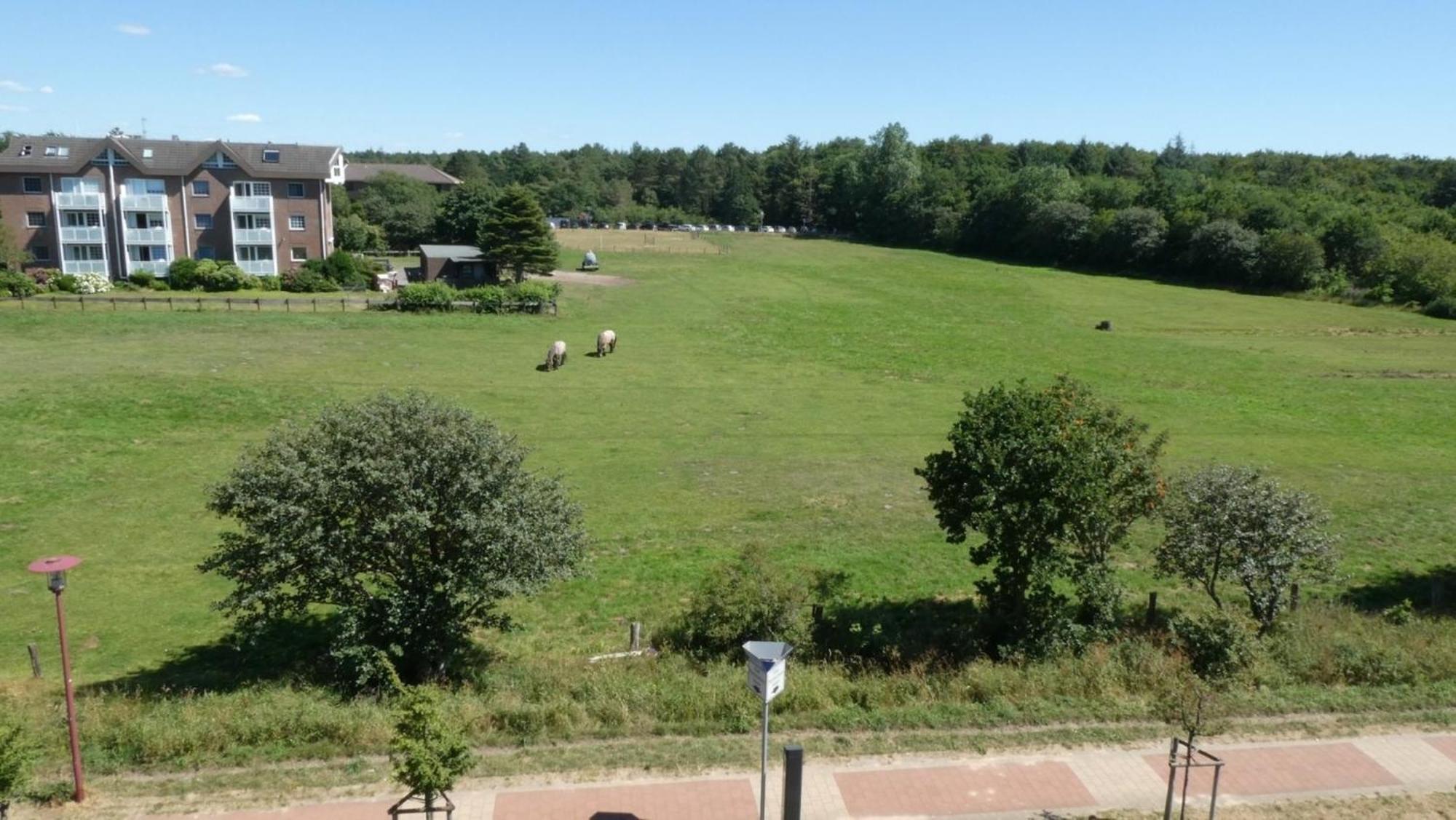 Apartment Quartier Hohe Geest 17 - Nord Seestern Cuxhaven